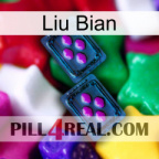 Liu Bian 03